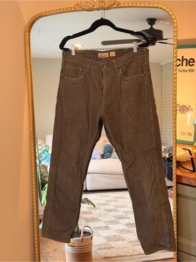 Patagonia Iron Clad Dark Green Corduroy Pants Men’s 34x30
